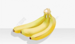 香蕉免费视频,探索香蕉免费视频的无限魅力